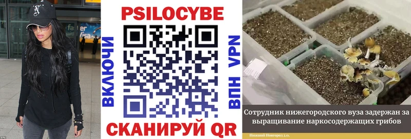 Псилоцибиновые грибы прущие грибы Калининец